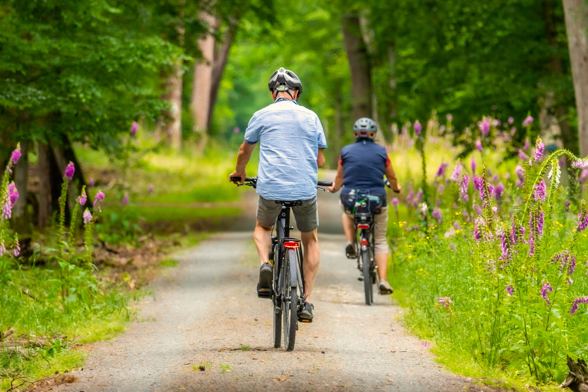 Zwei Menschen fahren durch einen grünen Wald Rad